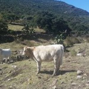 Meet your Posher, Fernando